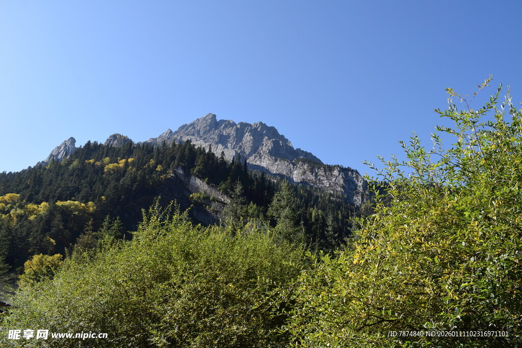 青山葱郁间的巍峨山峰