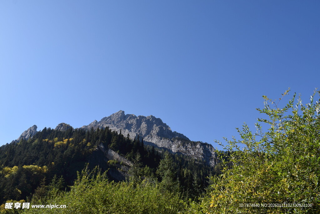 巍峨山峰与葱郁植被