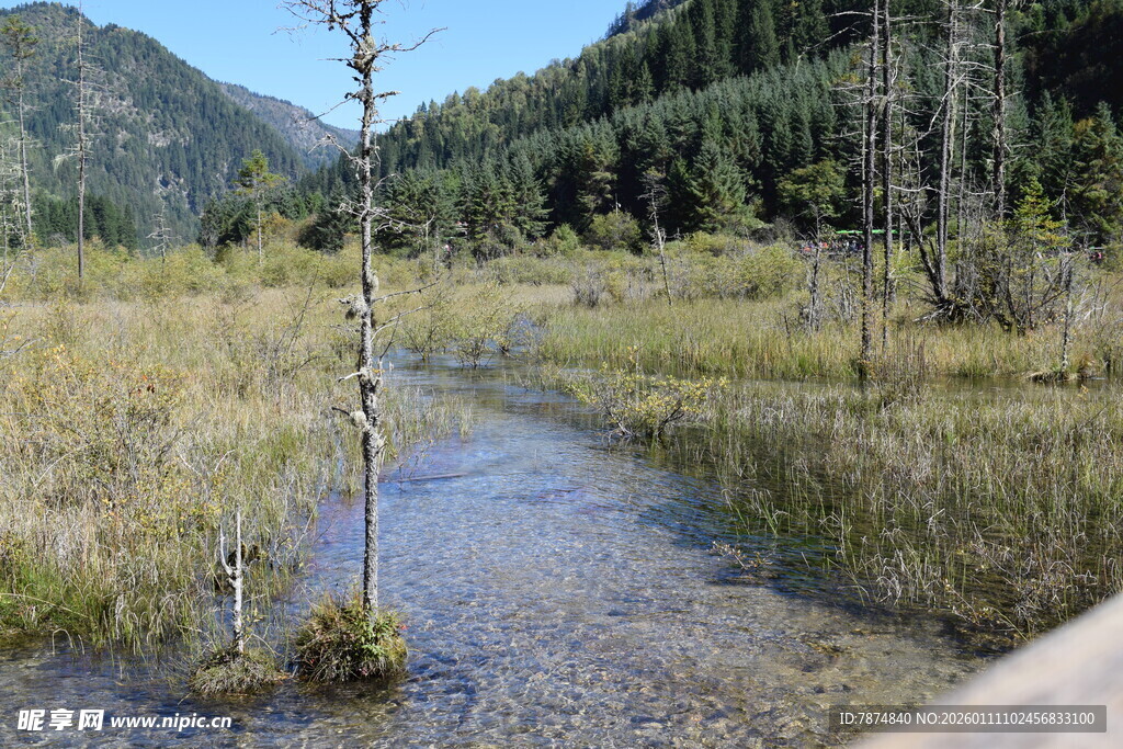 山间溪流旁的自然景致