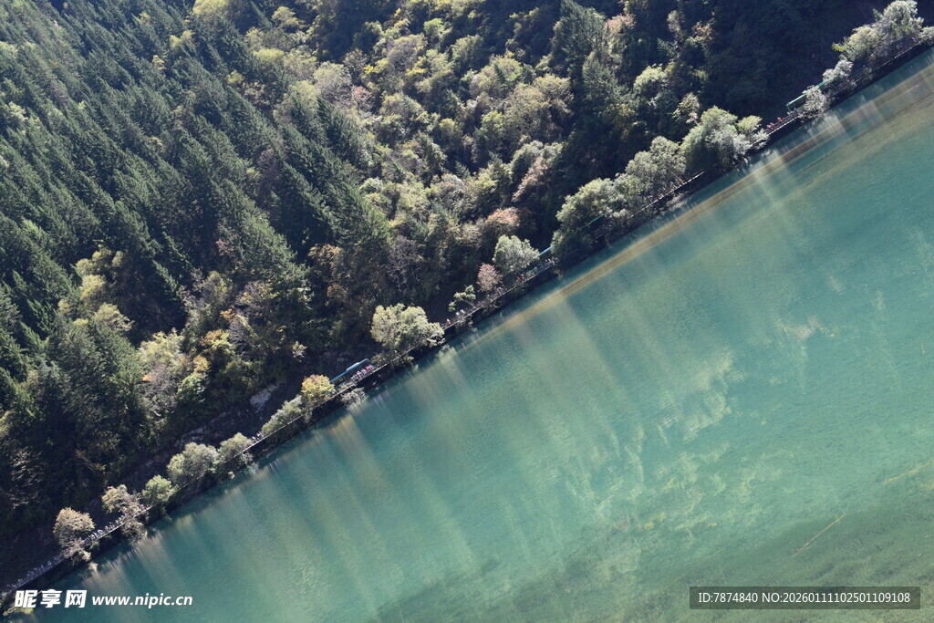 清澈湖水旁的葱郁树林