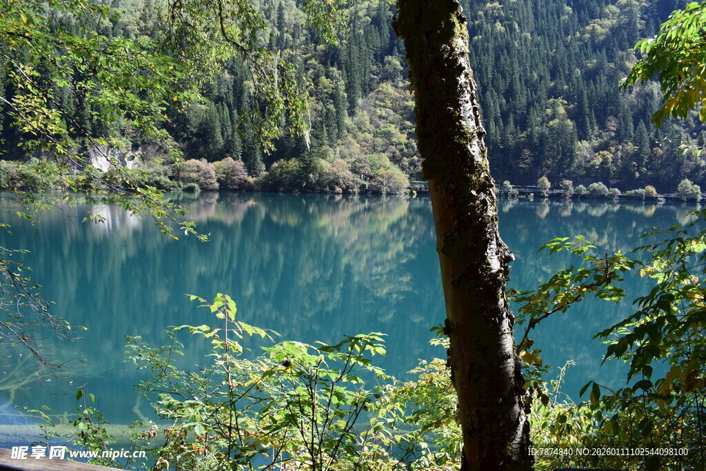 森林环绕的清澈幽蓝湖泊