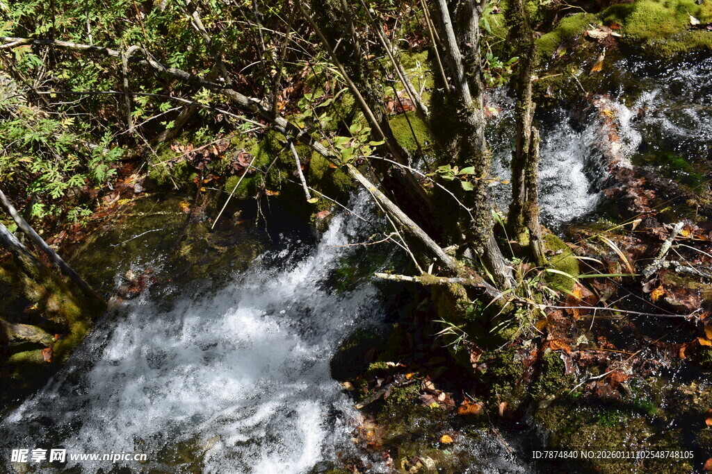 山间溪流潺潺 绿意盎然