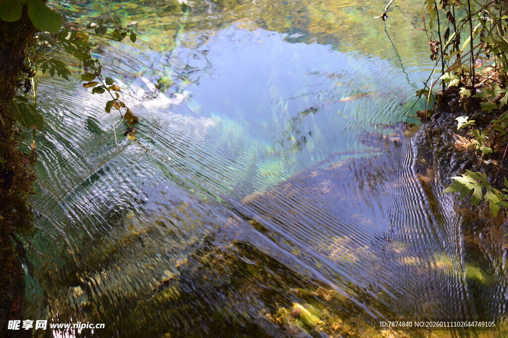 清澈溪流中的多彩石块