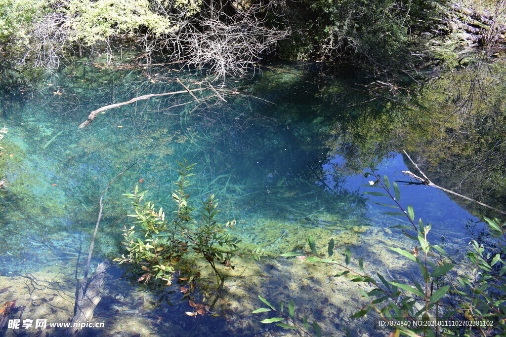 清澈见底的幽蓝山间水潭