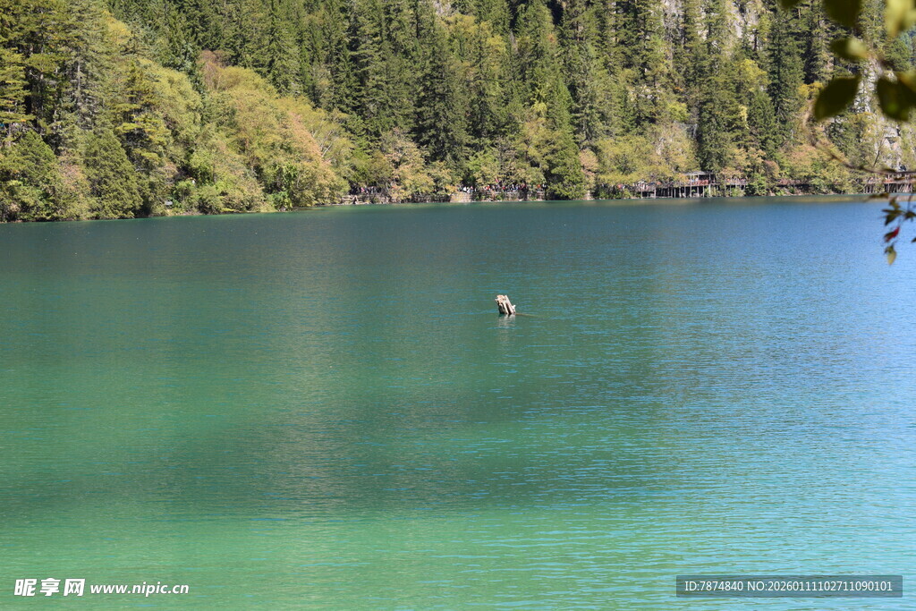 碧绿湖景中的水上活动者