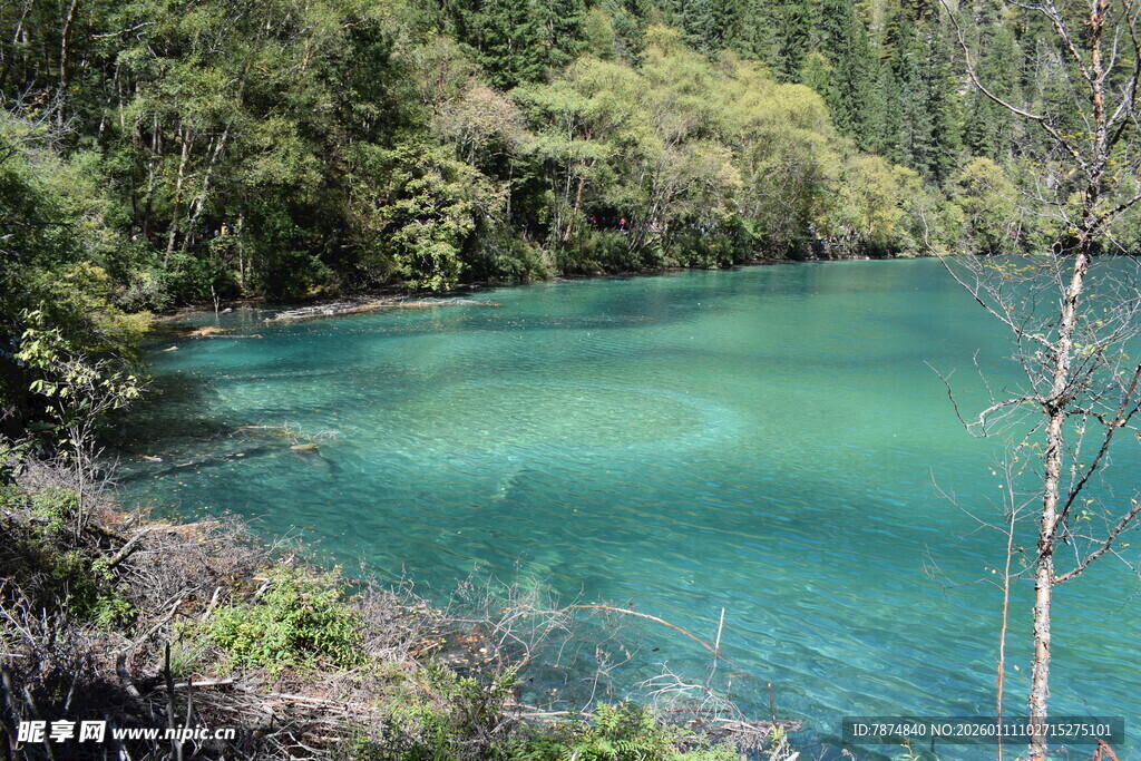 翠绿山林间的幽蓝湖泊