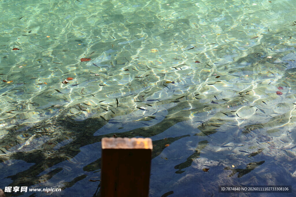 清澈海水中的木质物件