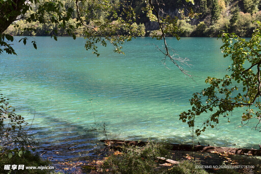 清澈蓝绿色湖水自然美景