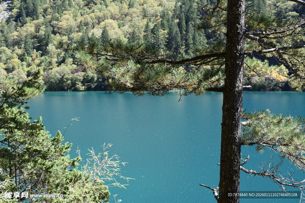 森林环抱的幽蓝湖泊
