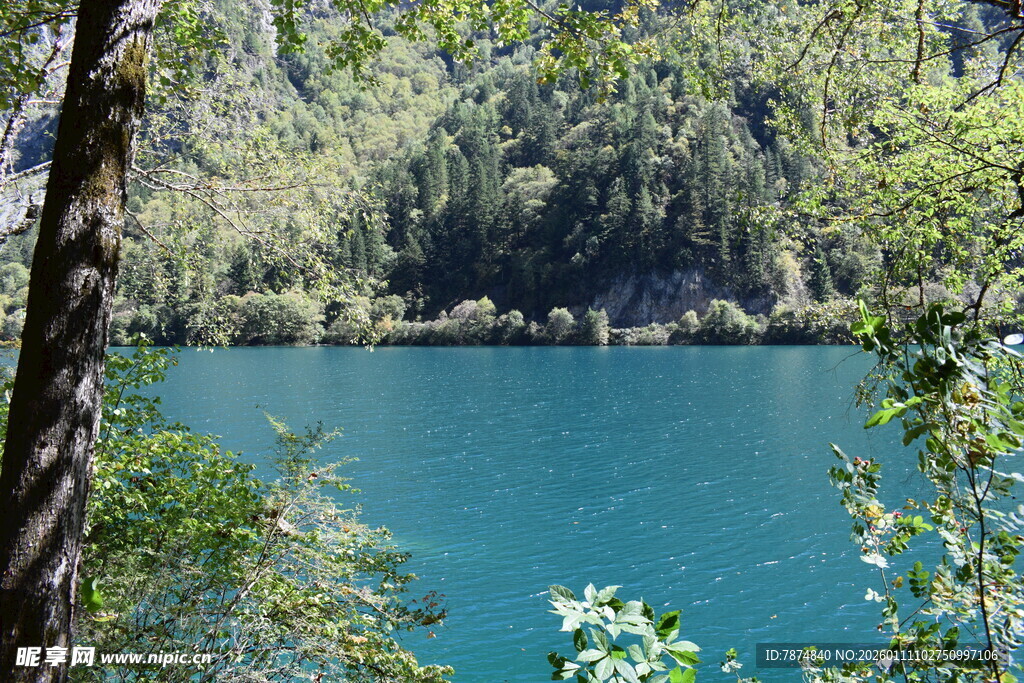 森林环绕的幽蓝静谧湖泊
