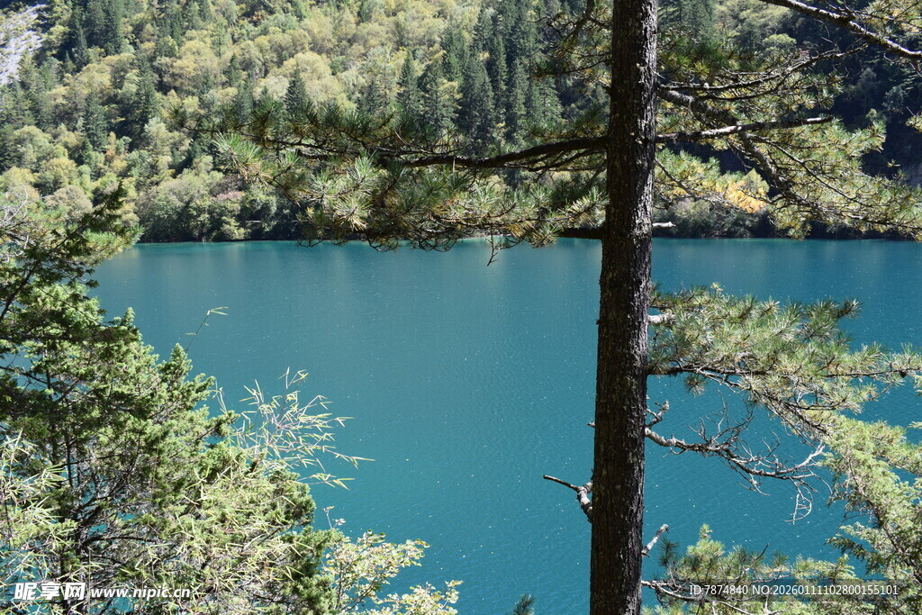 山林间的湛蓝湖水