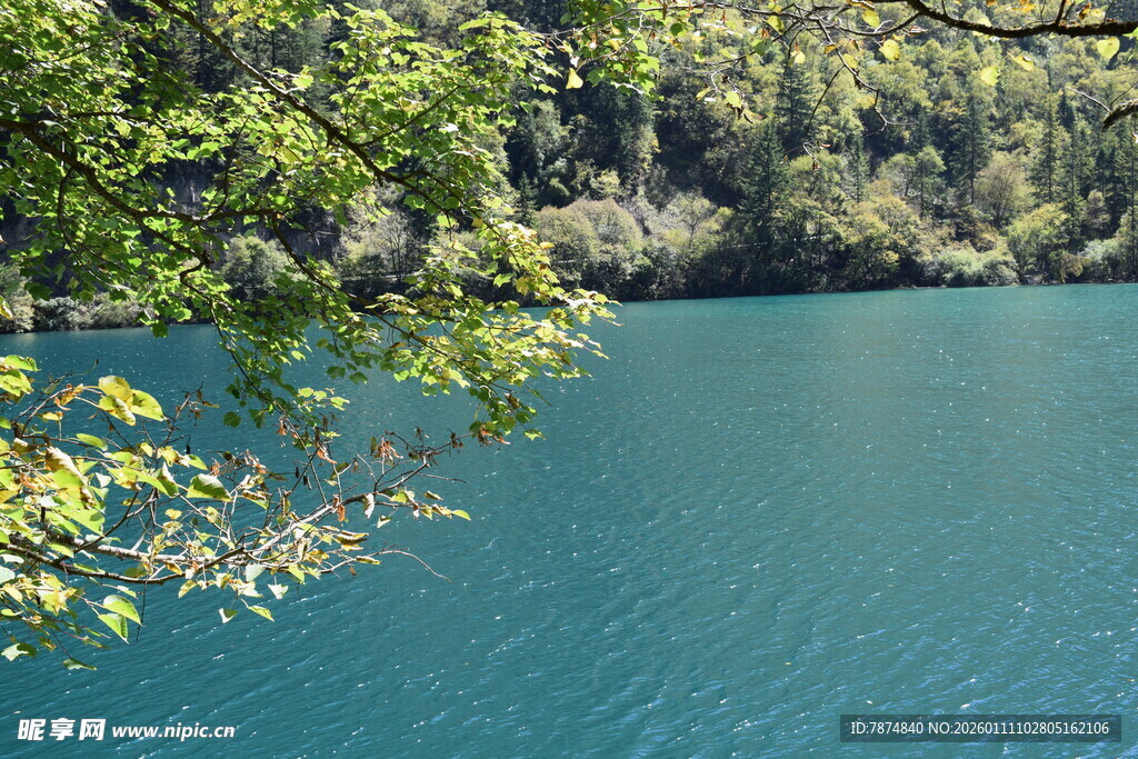 湖畔绿意 幽蓝湖水景致