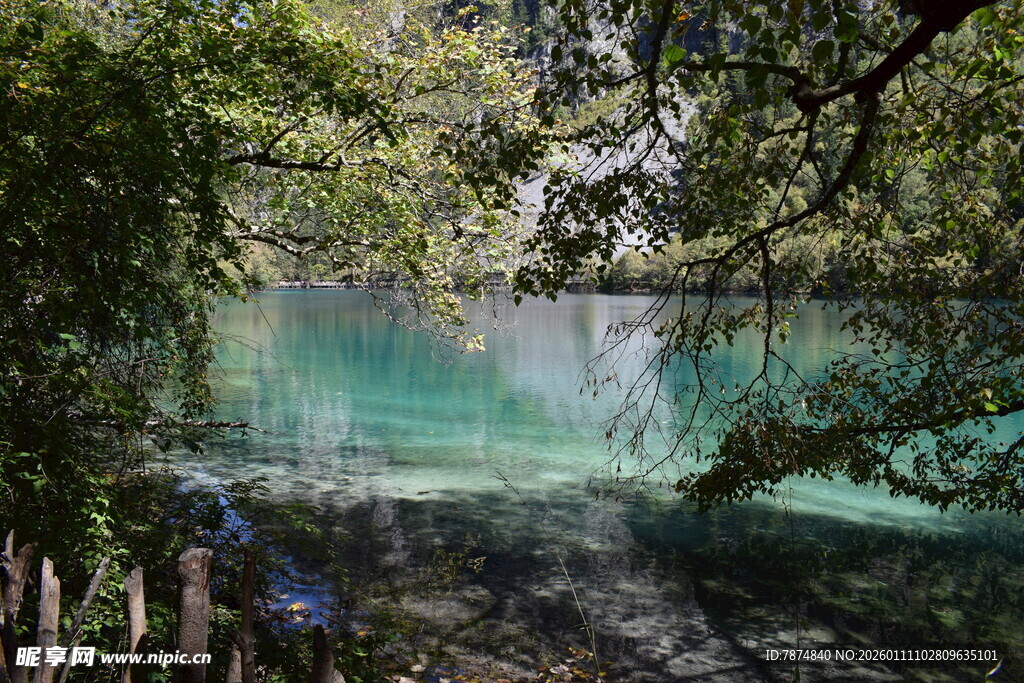 森林中的清澈幽蓝湖水