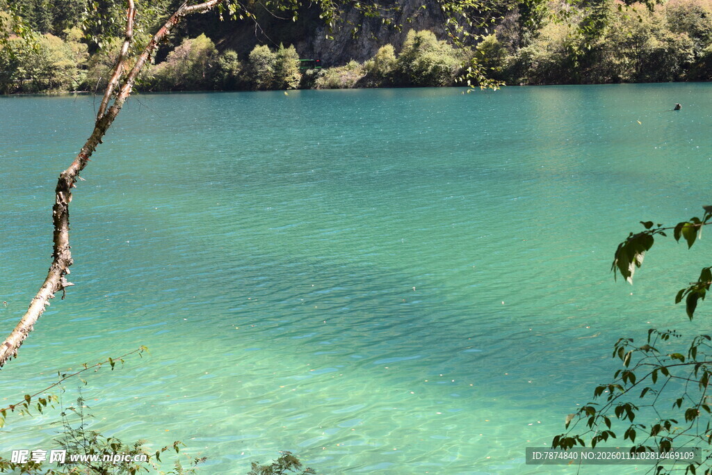 清澈碧绿的美丽湖水景色