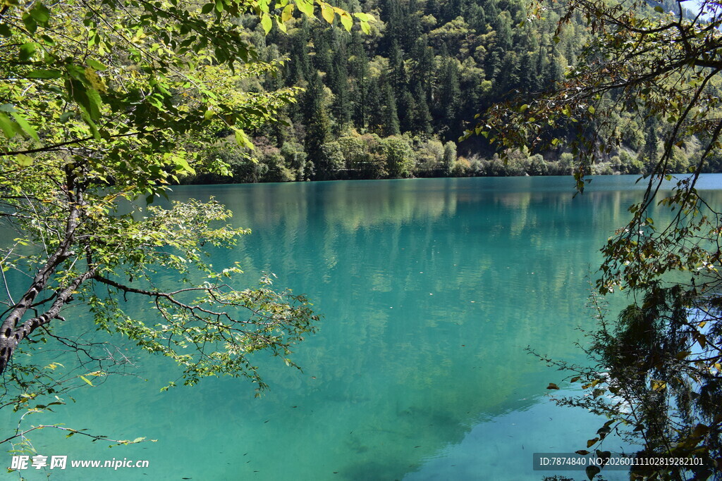 清澈蓝绿色湖水的自然美景