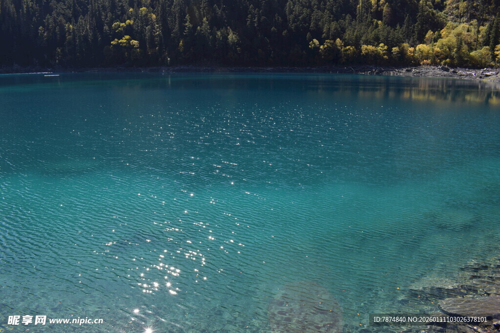 清澈蓝湖岸边景致