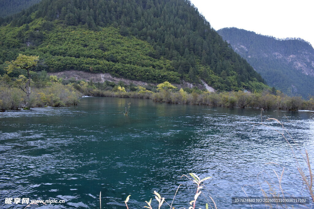 青山绿水间的宁静河流