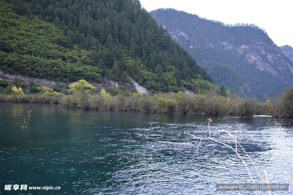 青山绿水间的秀丽河畔风光