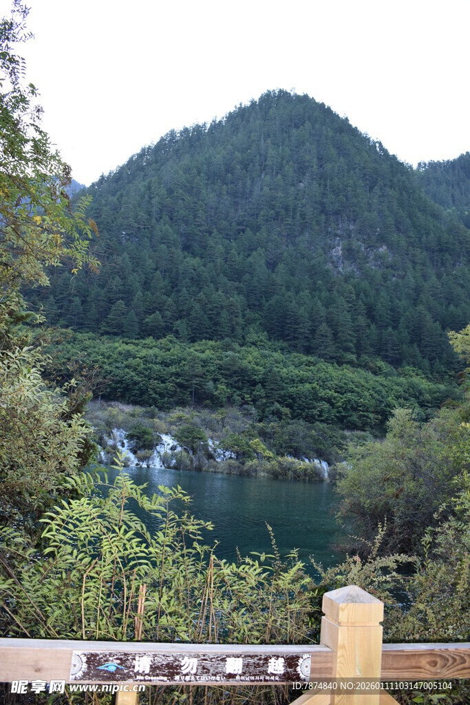 山间秀丽湖景与繁茂植被
