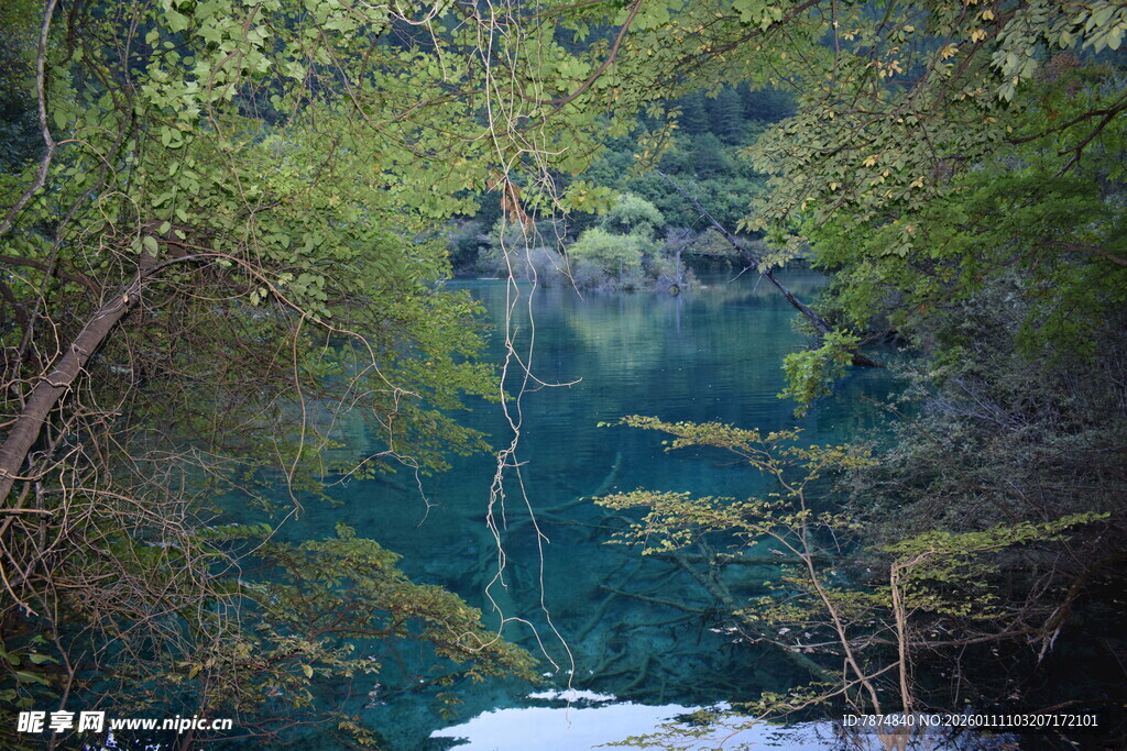 幽美森林中的澄澈蓝湖