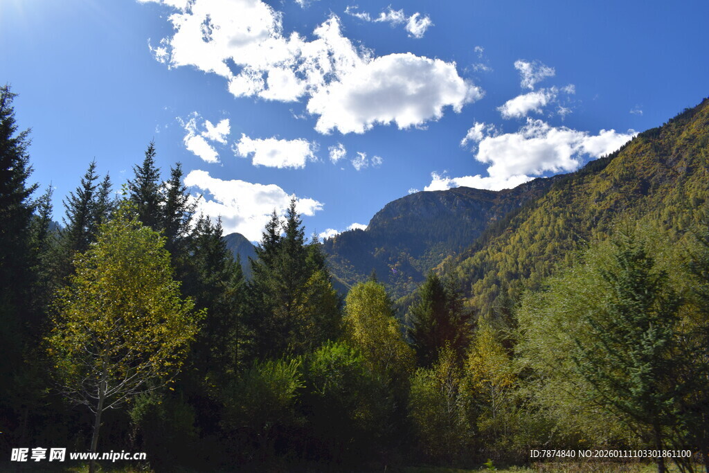 山间葱郁树林与蓝天白云