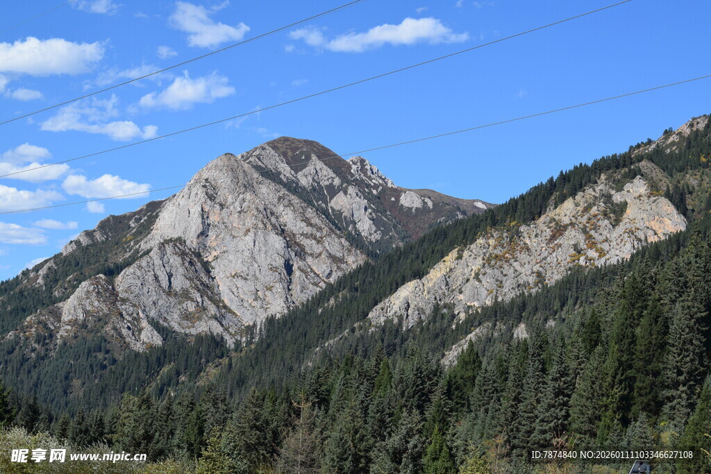 壮丽山景与葱郁森林