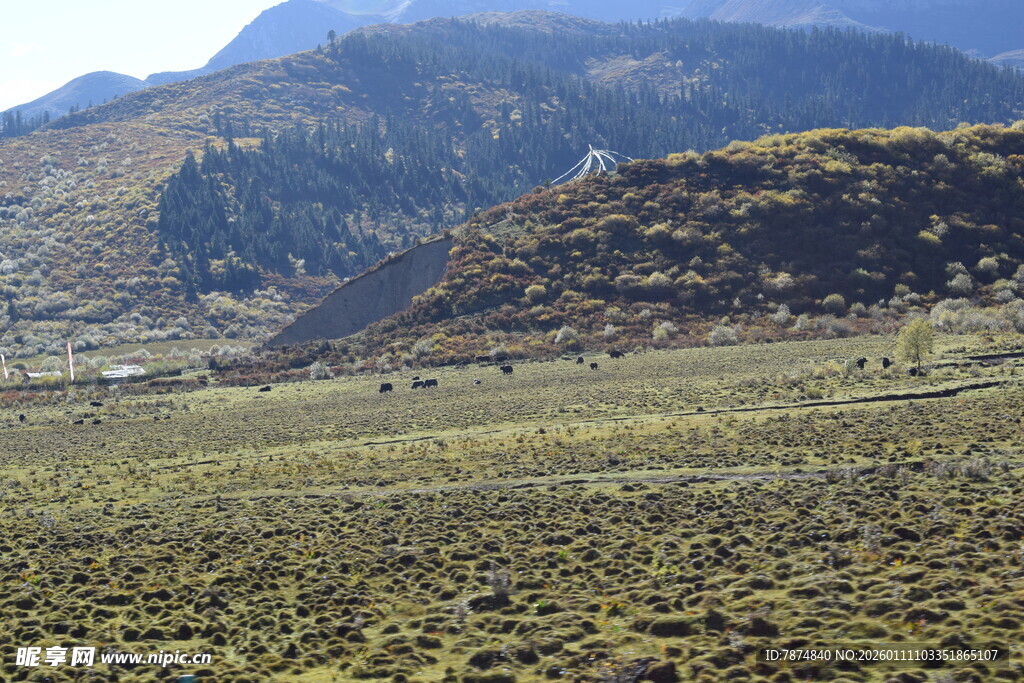 山间开阔草地风景