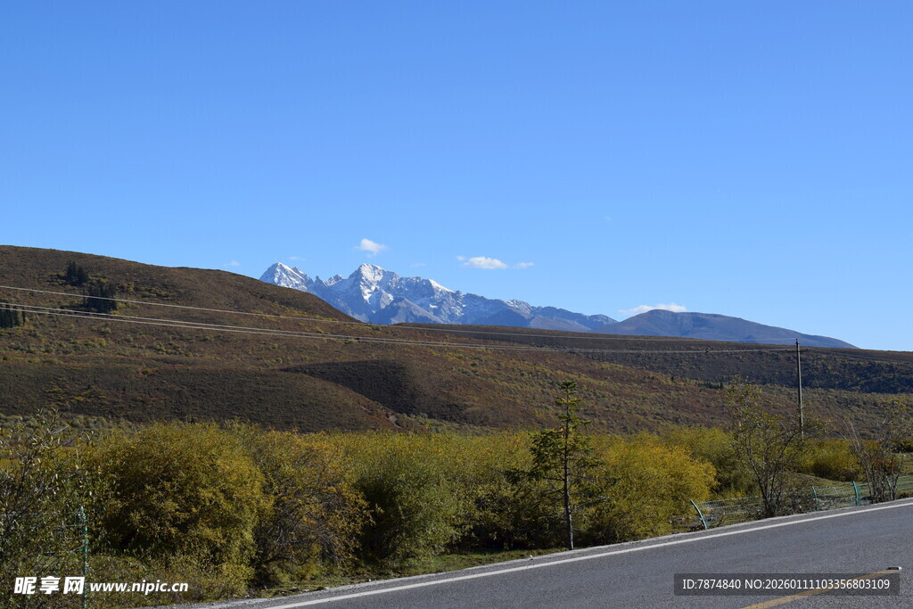 公路旁秋景与远处雪山