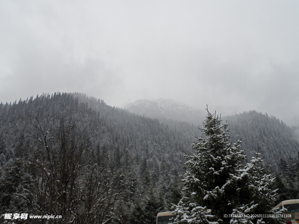 雪覆山林 云雾缭绕之景