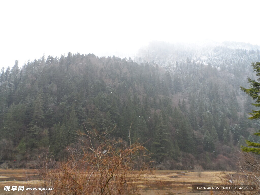 山林雾景 自然静谧风光