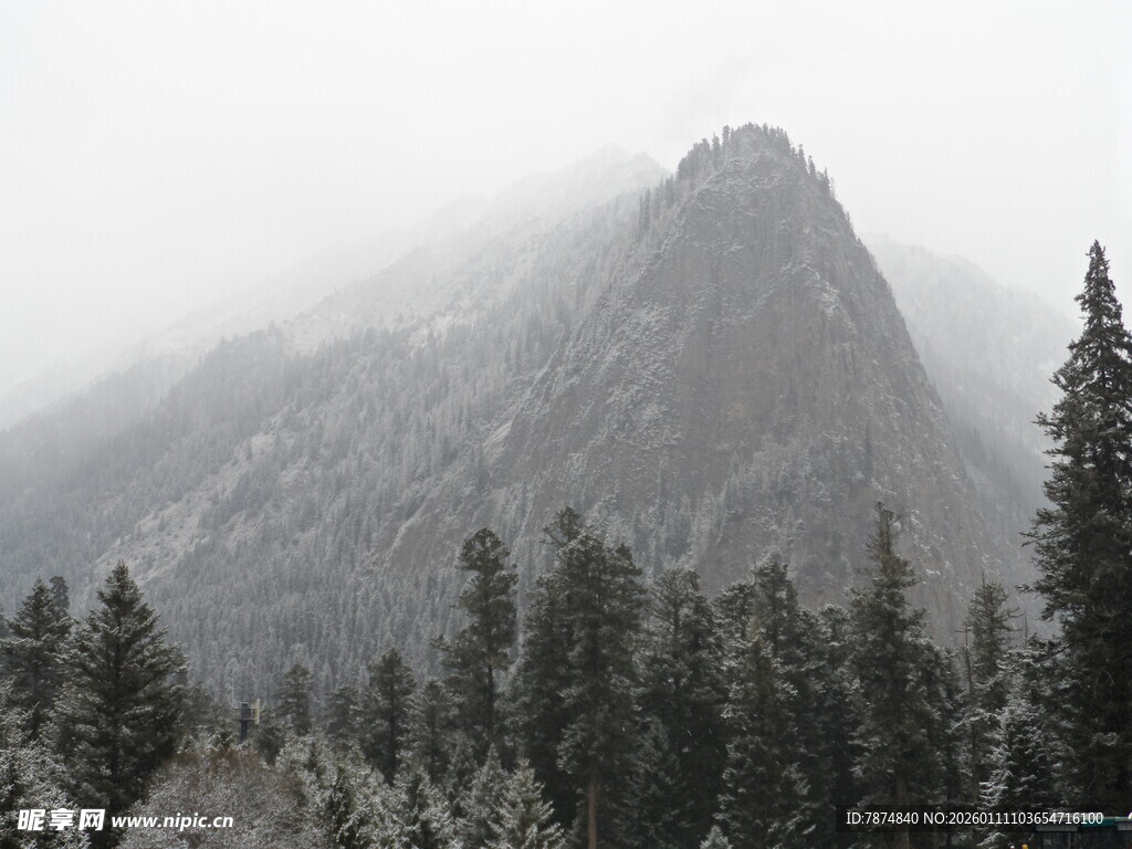 云雾缭绕的山林与山峰