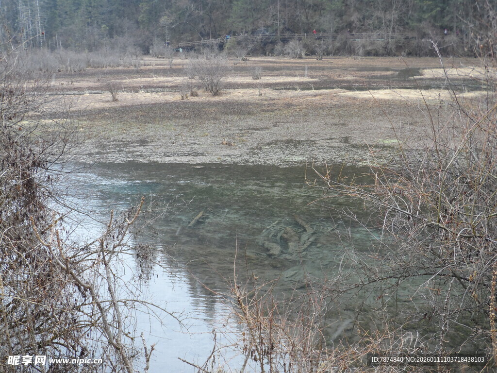 冬日河畔萧瑟景象