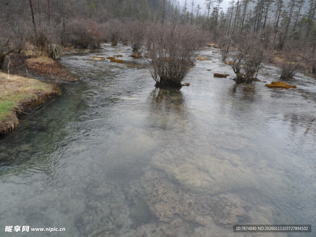 山间清澈溪流与枯树景观