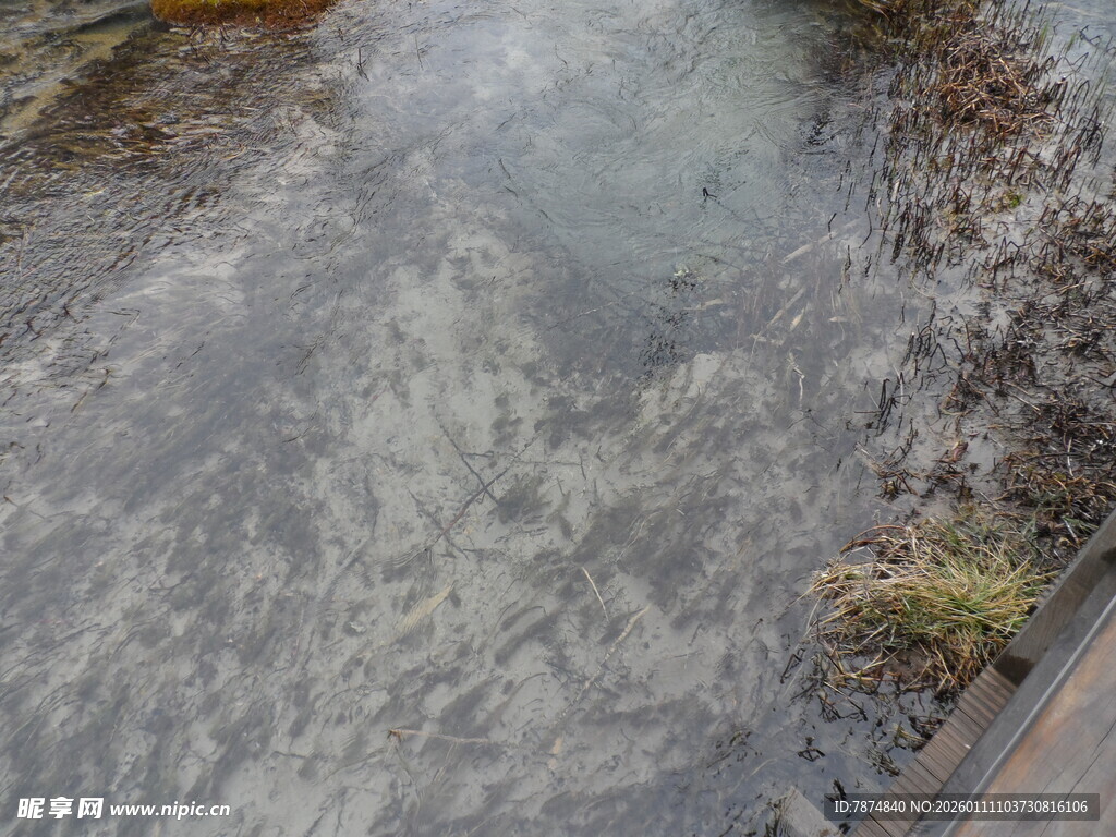 潺潺溪流 尽显自然之美