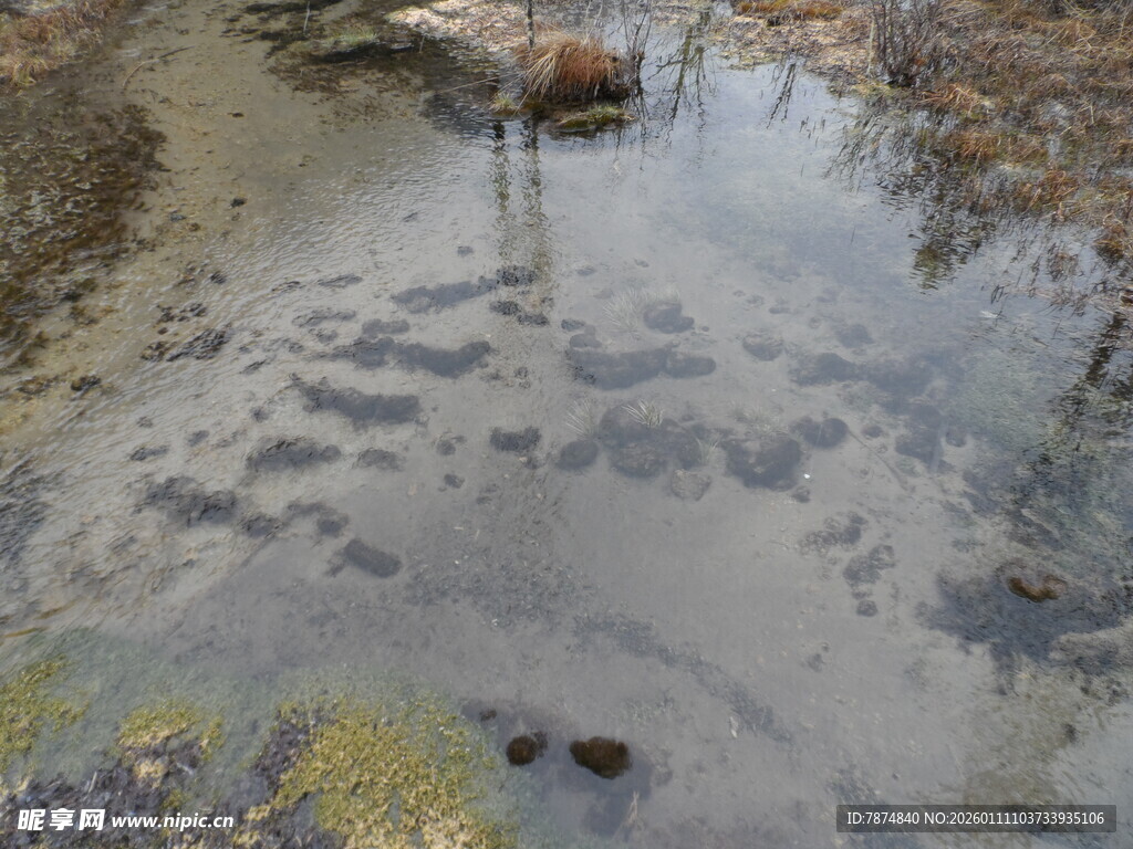 泥泞湿地中的斑驳水洼
