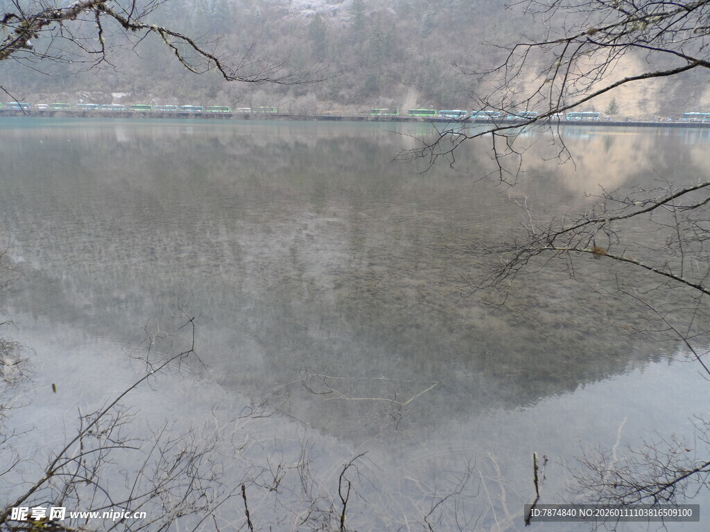 雾中湖畔静谧景象