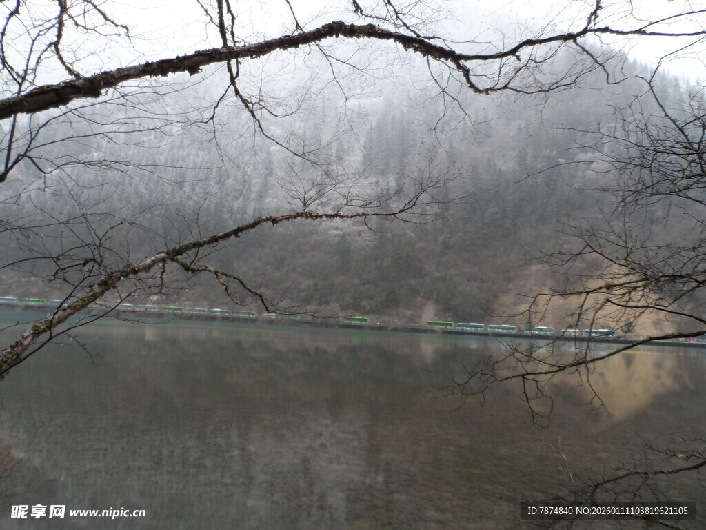 雾中湖畔萧瑟冬景