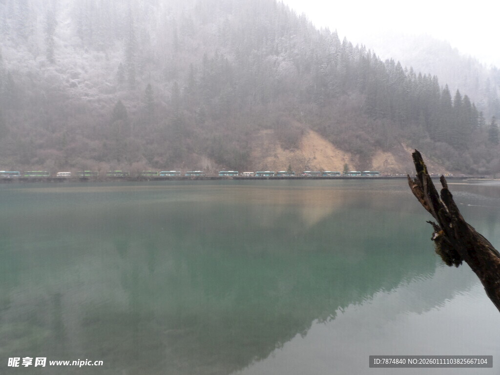雾中静谧湖水与枯枝