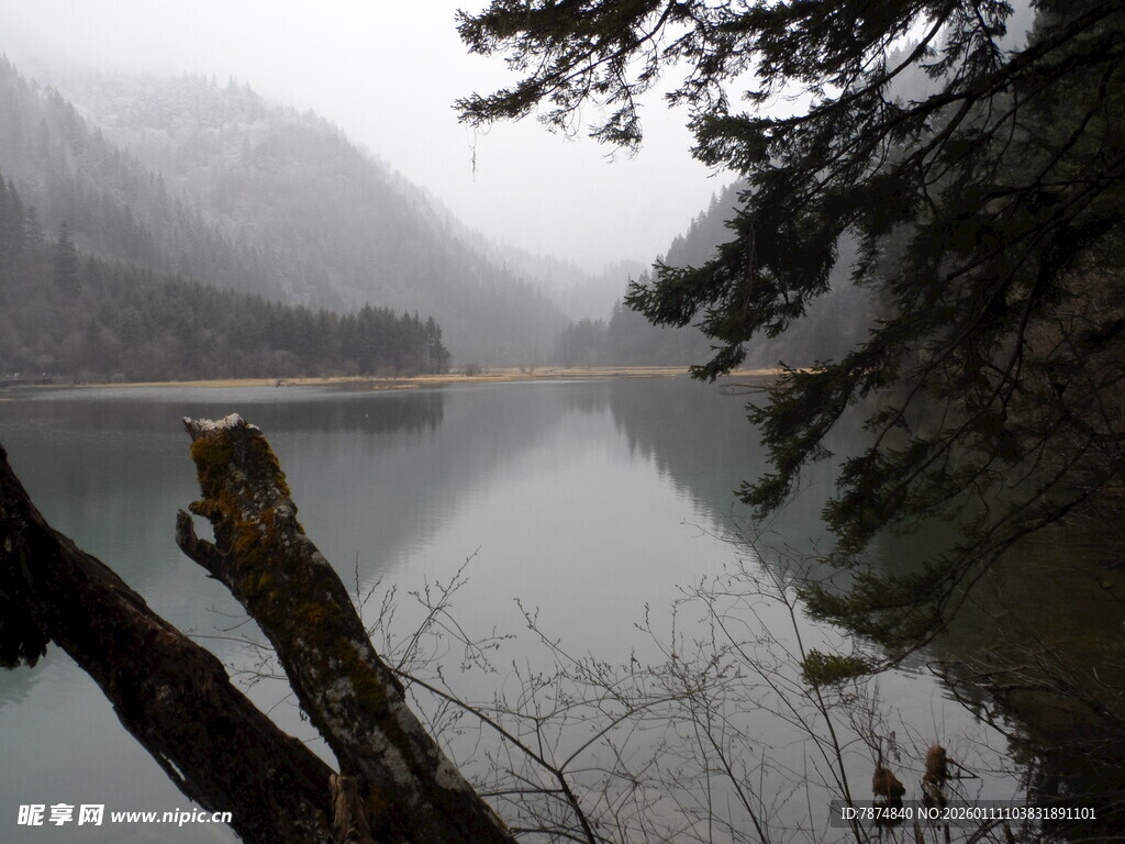 雾中静谧湖水与岸边树木