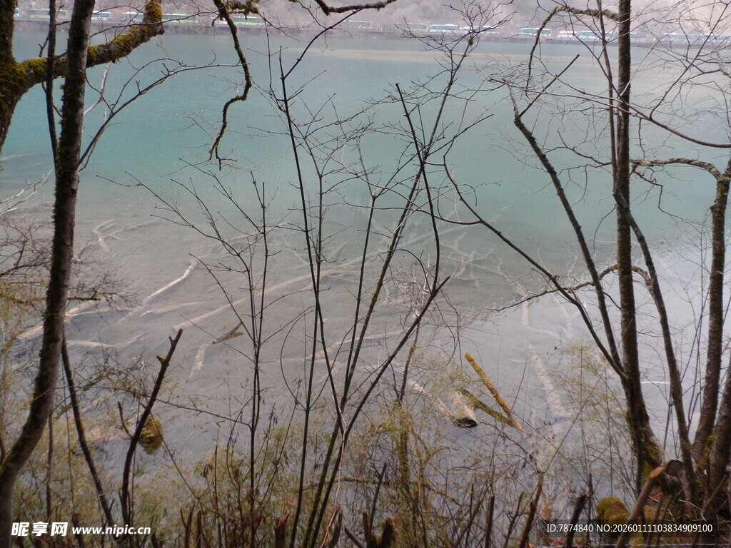 冬日湖边萧瑟景象