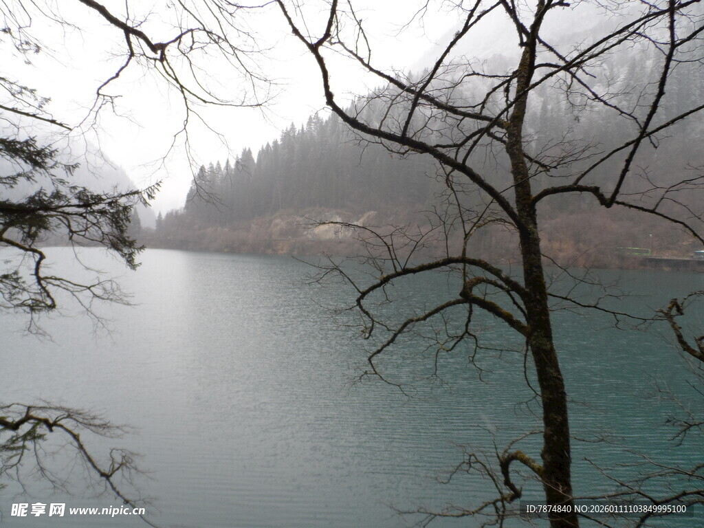 雾霭中的静谧湖水与枯树