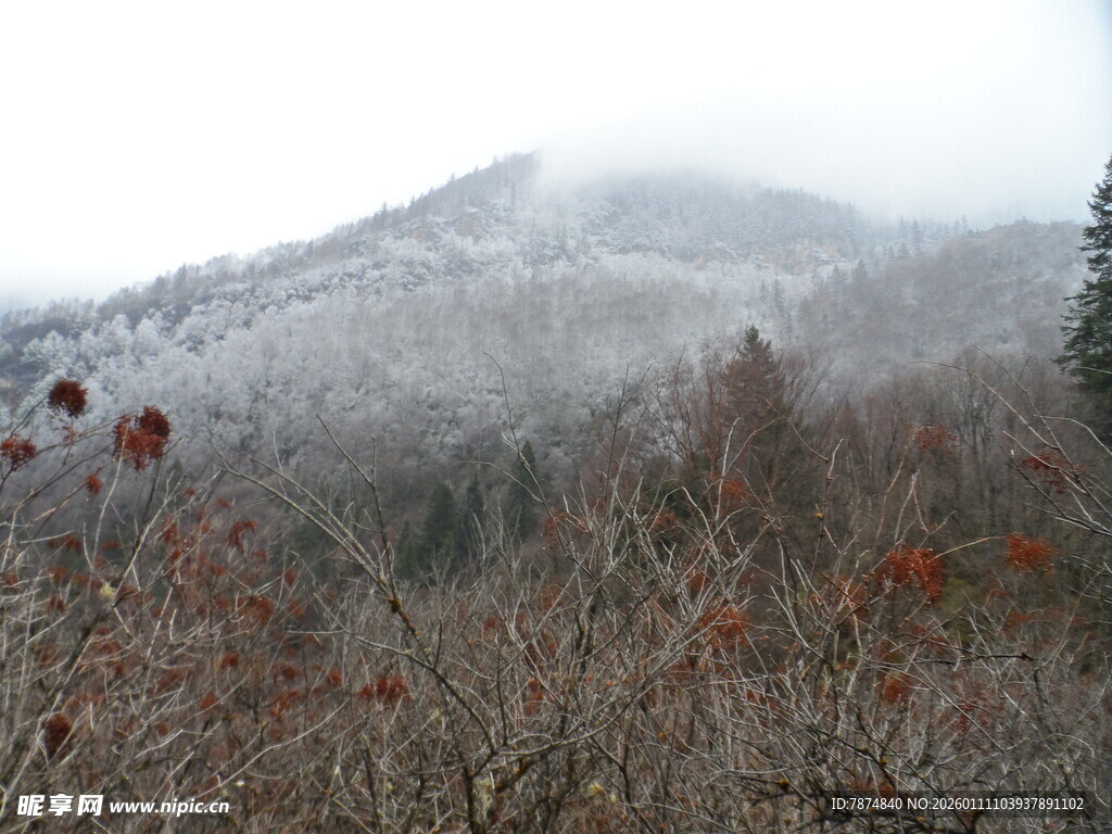 雪覆山林的朦胧景致