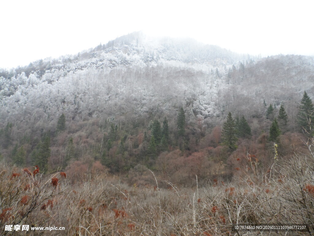 雪覆山林景色