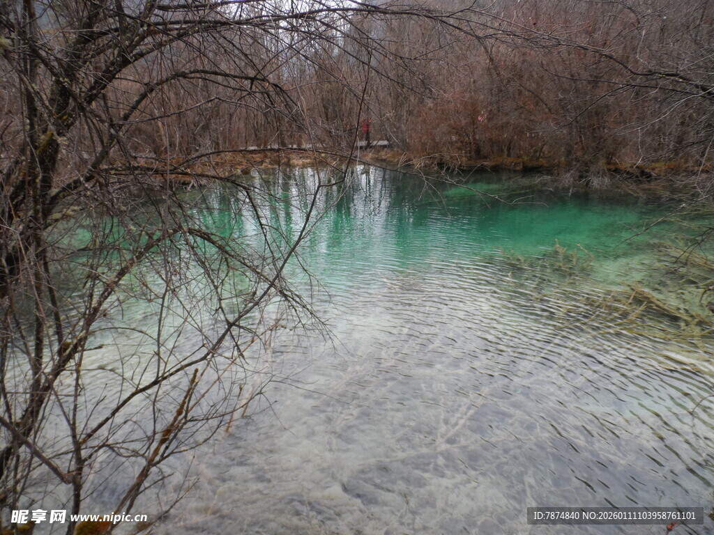 冬日溪边枯树与澄澈绿水