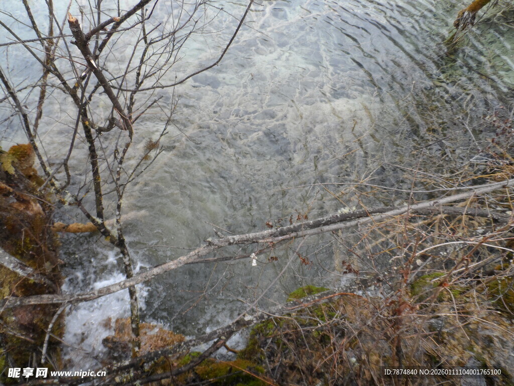 山间清澈溪流潺潺流淌