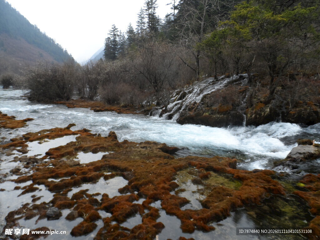 山间溪流 多彩河床美景