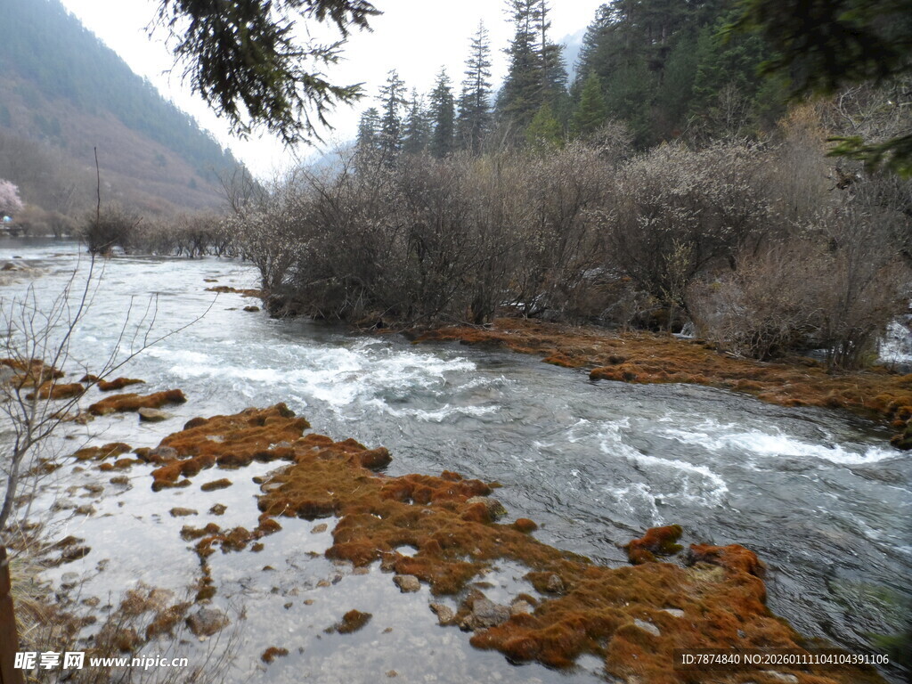 山间溪流冬日景致