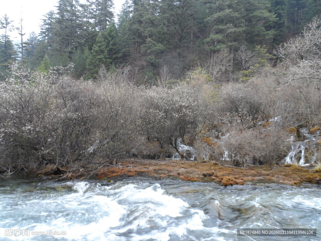 山间溪流旁的自然景致