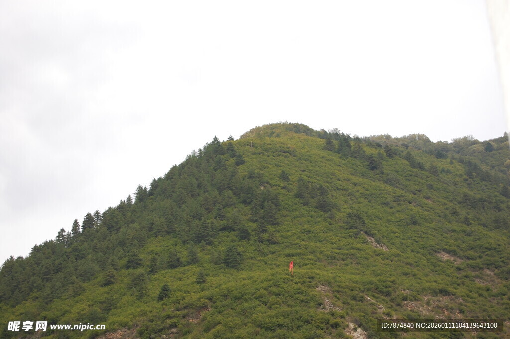 翠绿山峦 植被繁茂之景