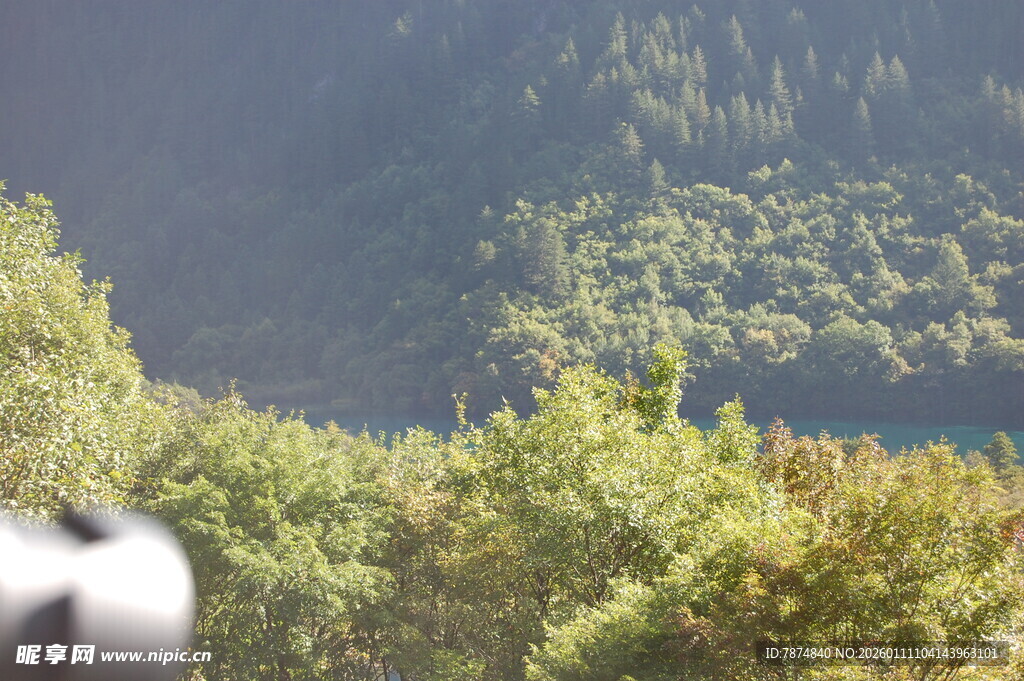 山林间的绿意景致